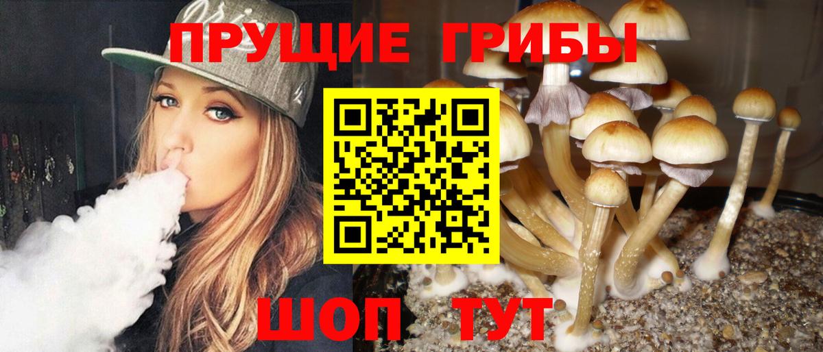 Псилоцибиновые грибы MAGIC MUSHROOMS  Вход с VPN  Галлюциногенные грибы Psilocybe  где купить   Лесной 