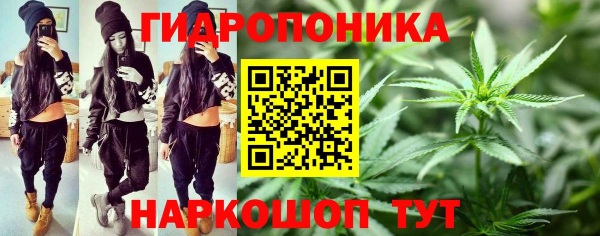 Шишки марихуана планчик  Вход с VPN  Шишки марихуана VHQ  Лесной  Канабис SATIVA & INDICA 